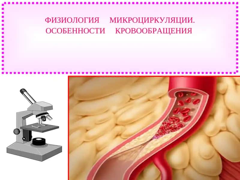 ФИЗИОЛОГИЯ МИКРОЦИРКУЛЯЦИИ 1