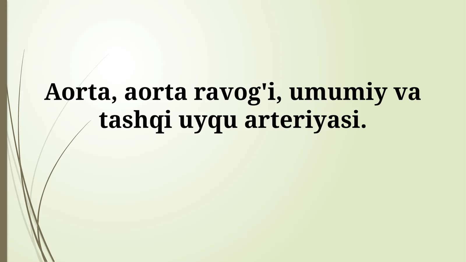 Aorta, aorta ravog'i, umumiy va tashqi uyquarteriyasi 1