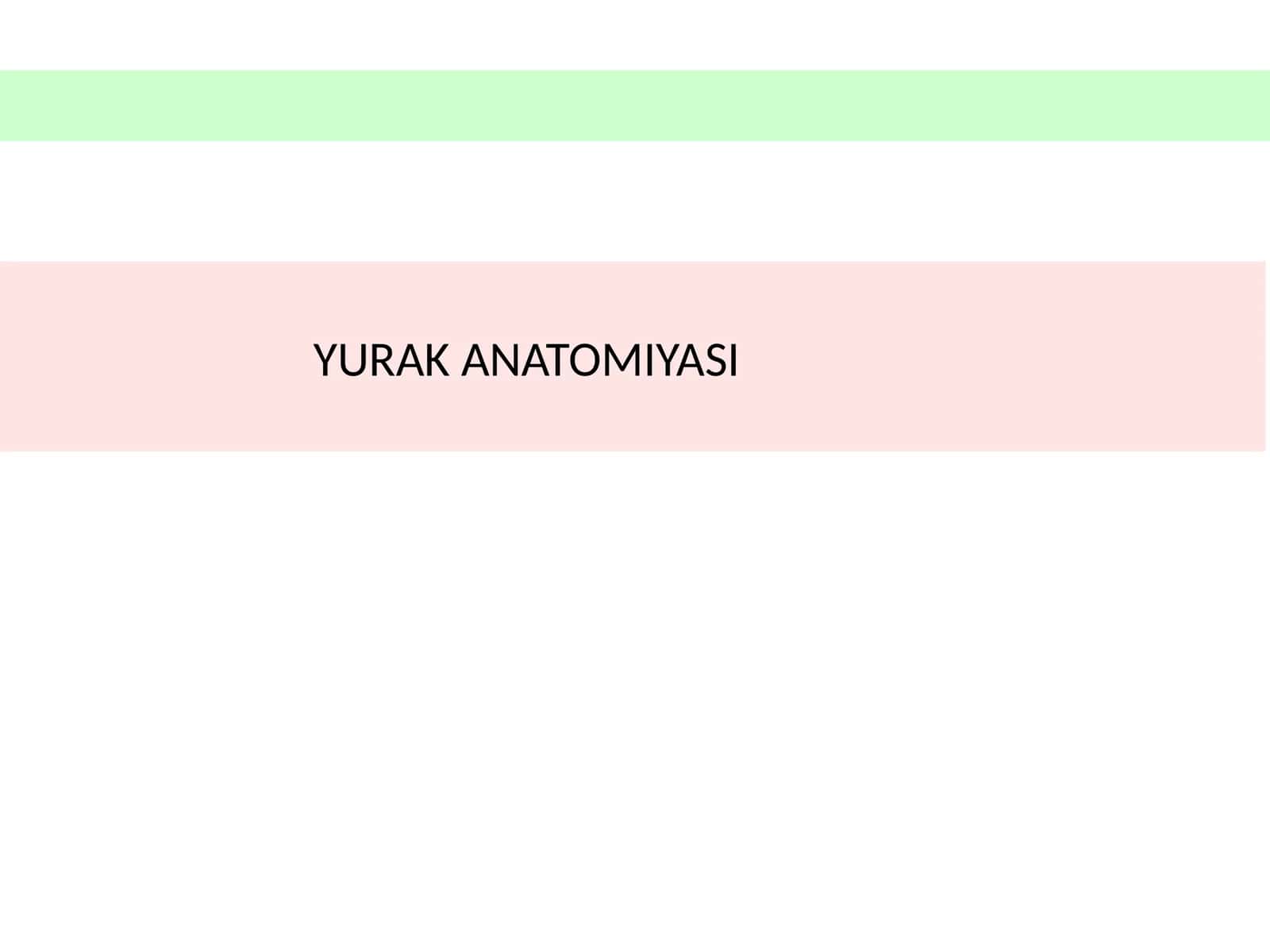 YURAKANATOMIYASI 1
