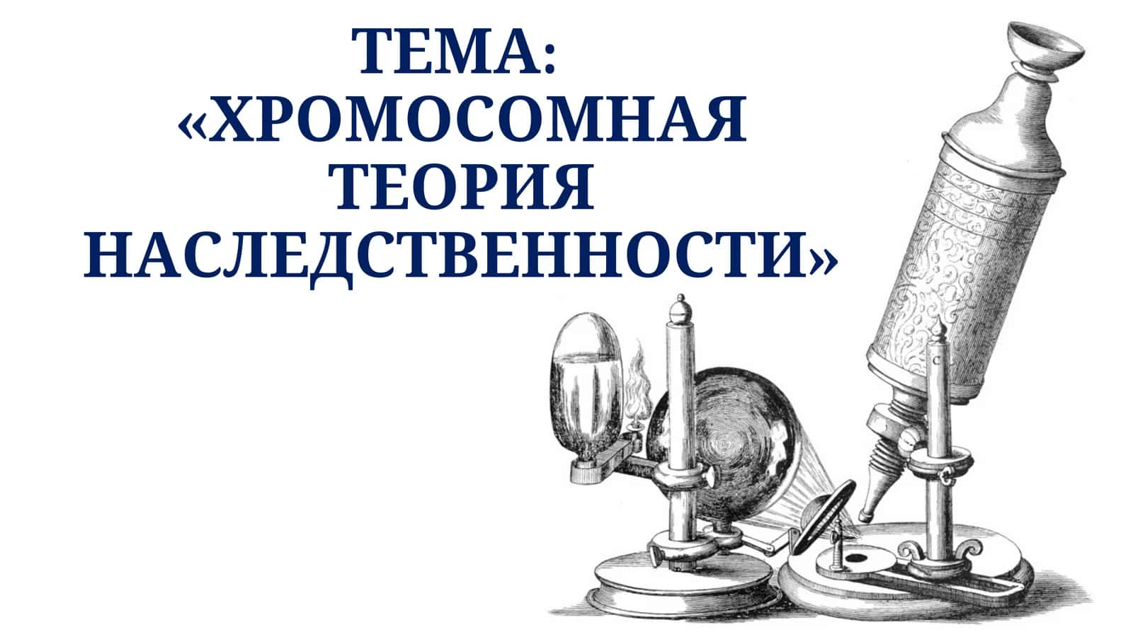 ХРОМОСОМНАЯ ТЕОРИЯ НАСЛЕДСТВЕННОСТИ 1
