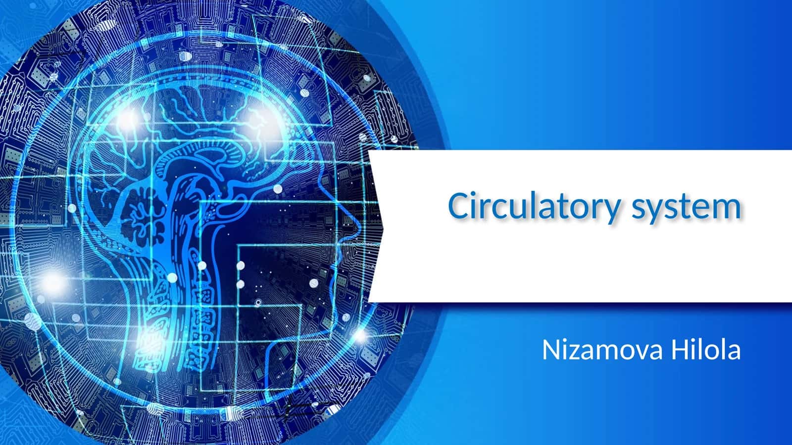 Circulatory system 1