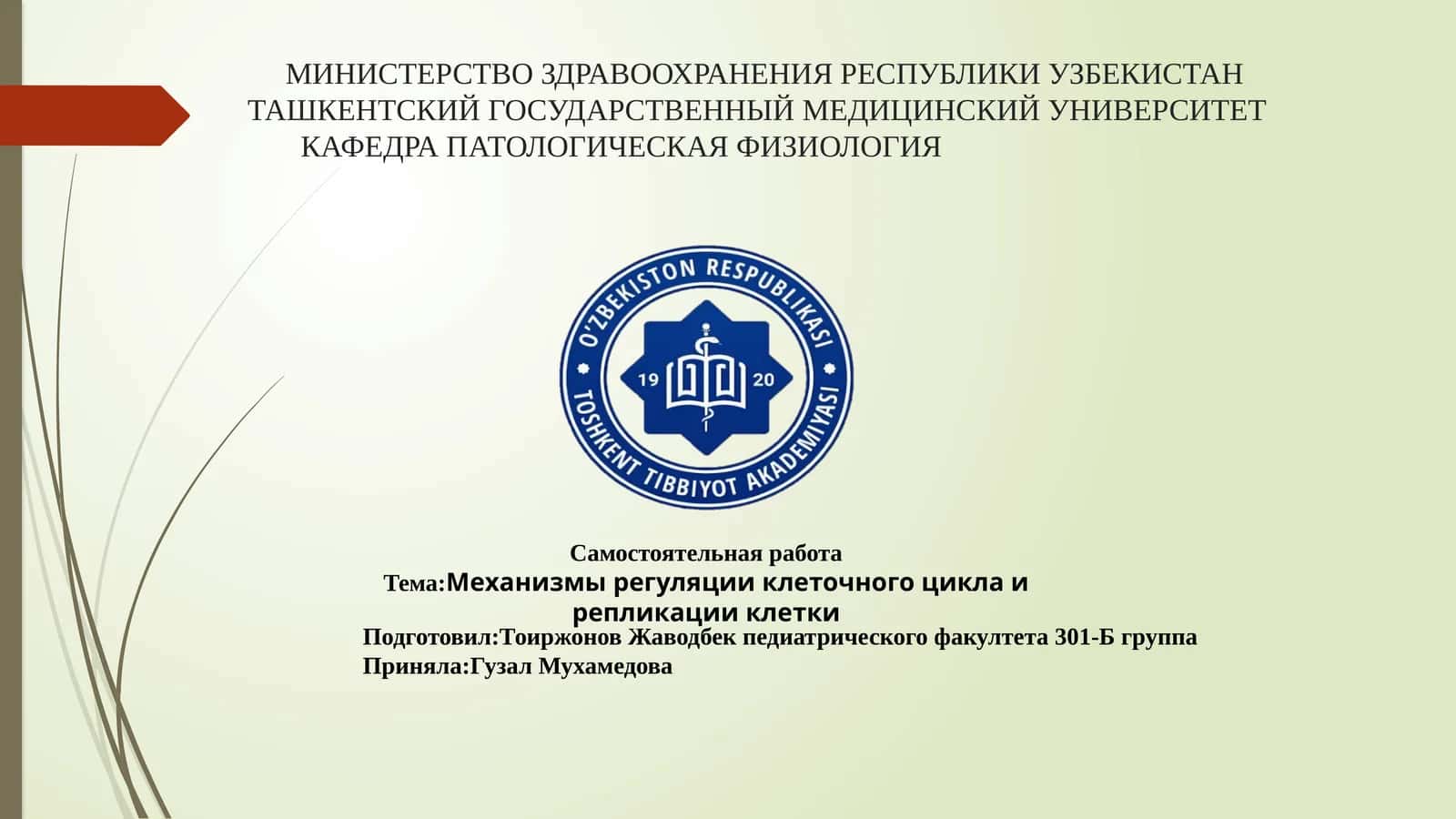 Механизмы регуляции клеточного цикла и репликации клетки 1