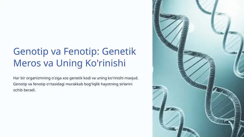 Genotip va Fenotip 1