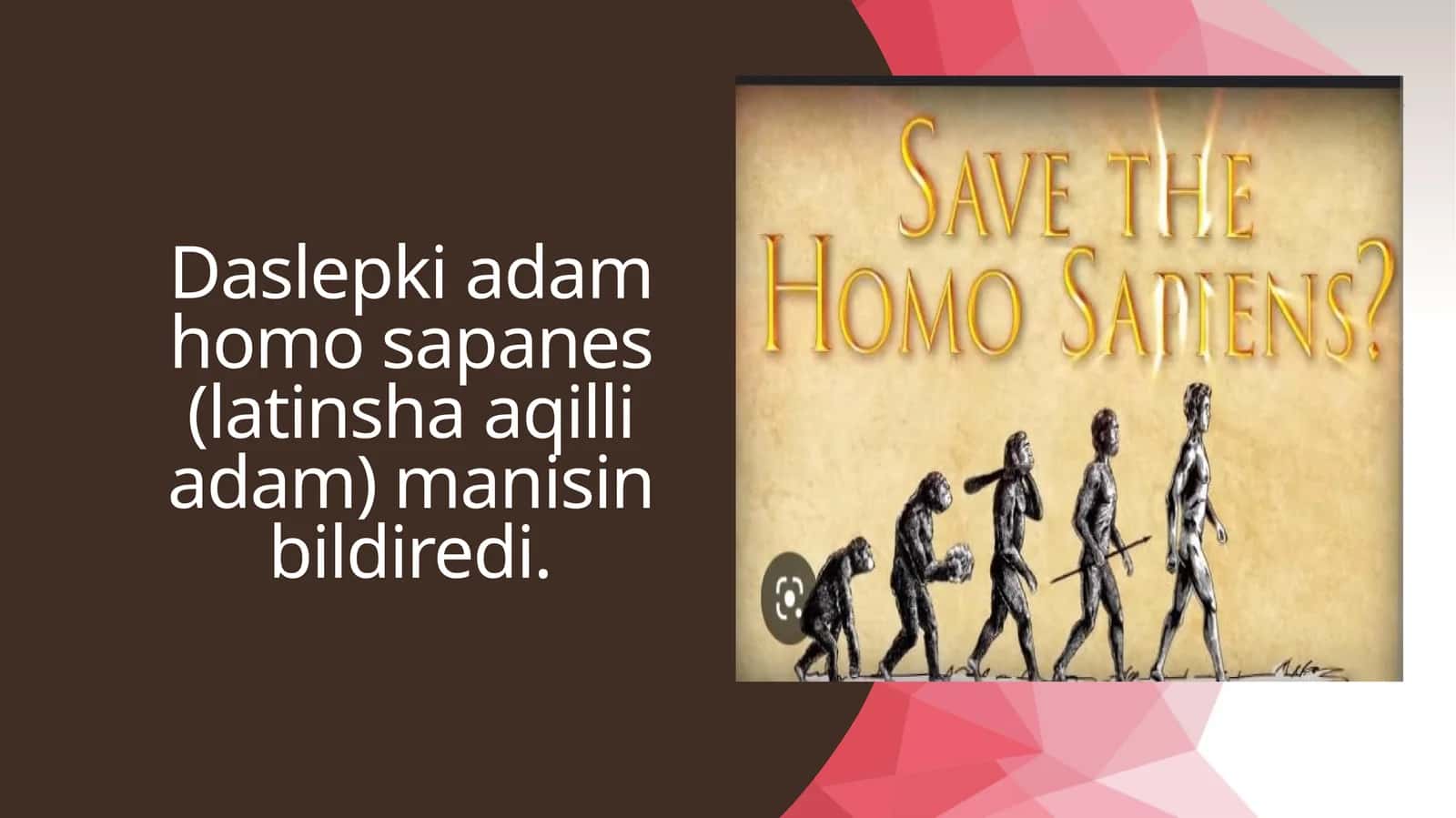 Daslepki adam homo sapanes 1