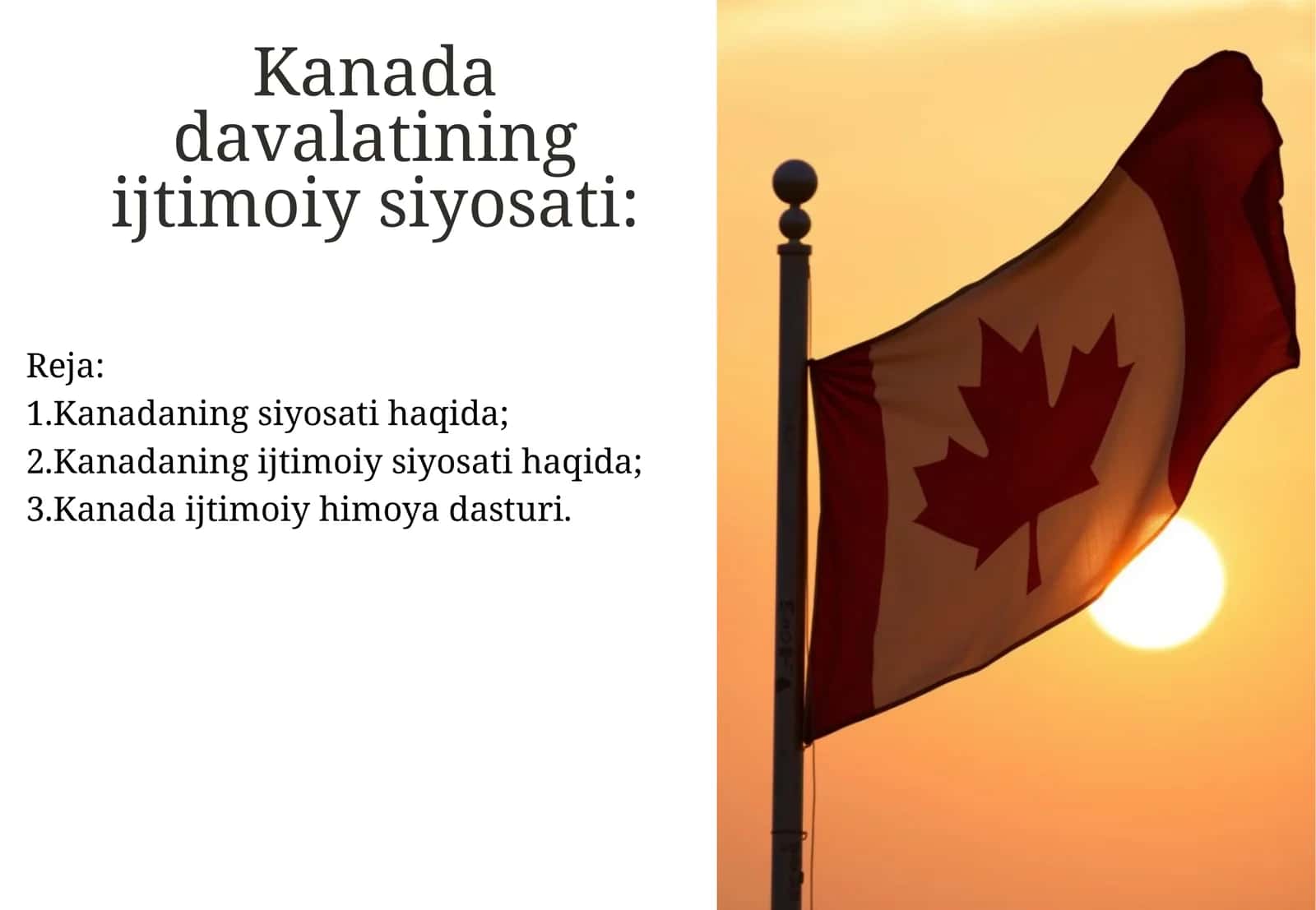 Kanada davalatining ijtimoiy siyosati 1