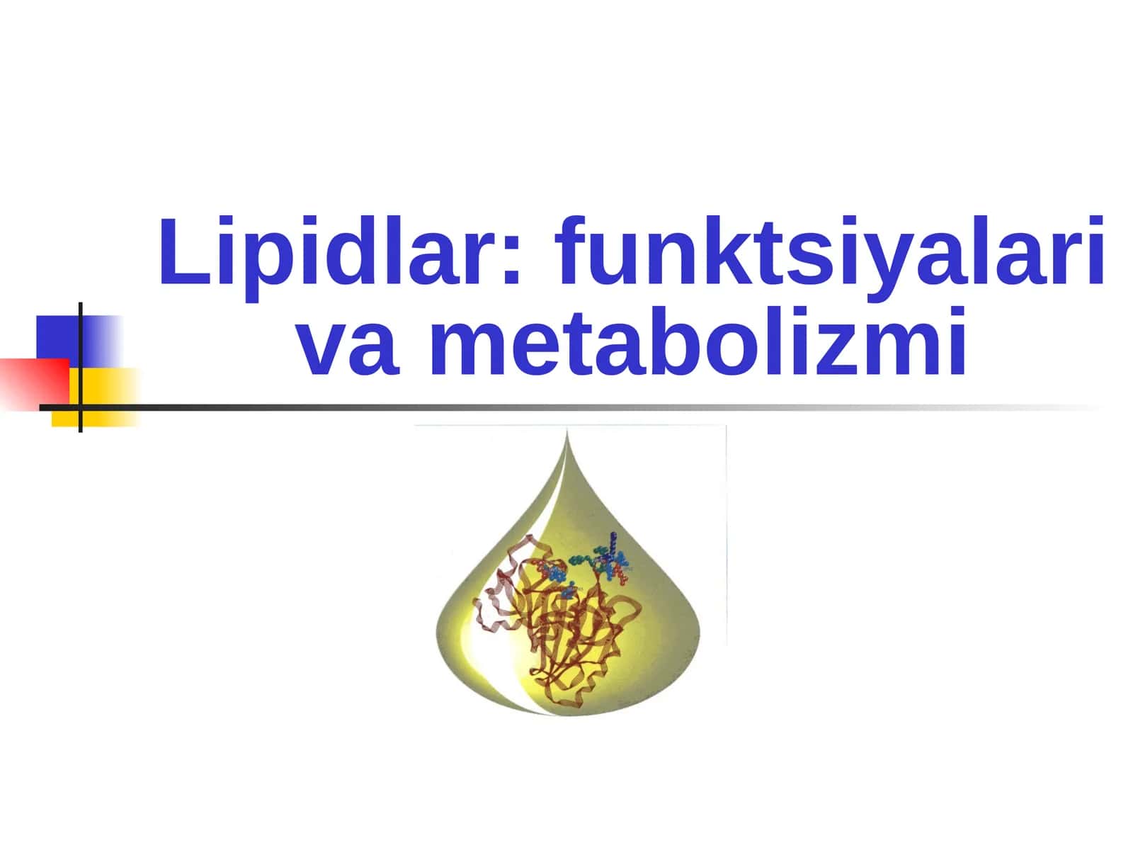 Lipidlar: funktsiyalari va metabolizmi 1
