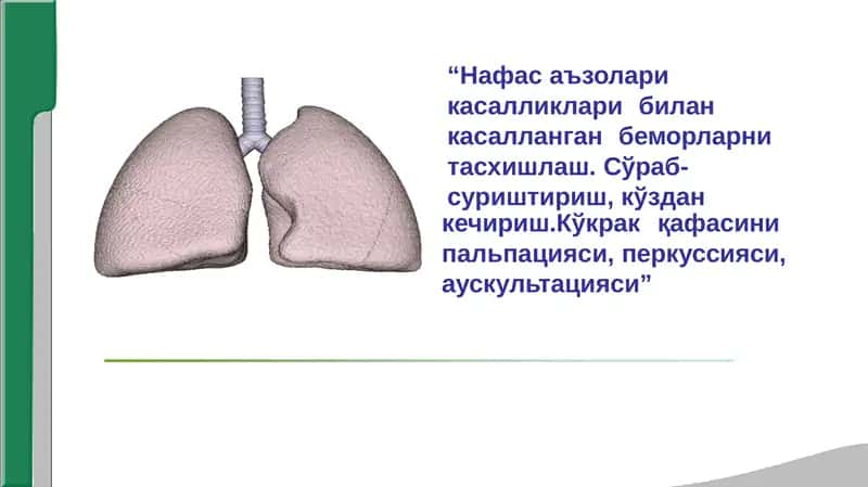 Нафасаъзолари 1