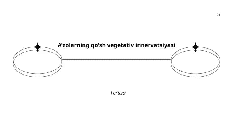 Qo'sh vegetativ innervatsiyasi 1