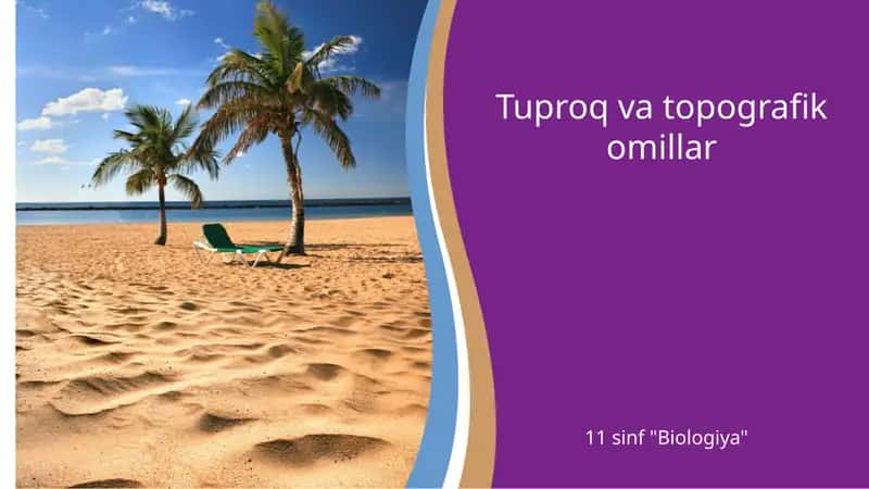 Tuproq va topografik omillar 1