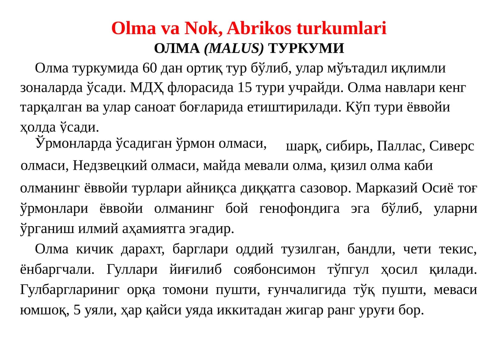 ОЛМА(MALUS)ТУРКУМИ 1