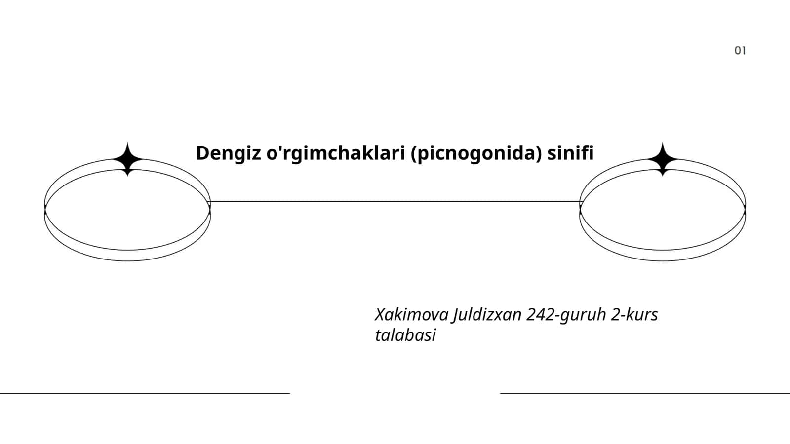 Dengiz o'rgimchaklari (picnogonida) sinifi 1