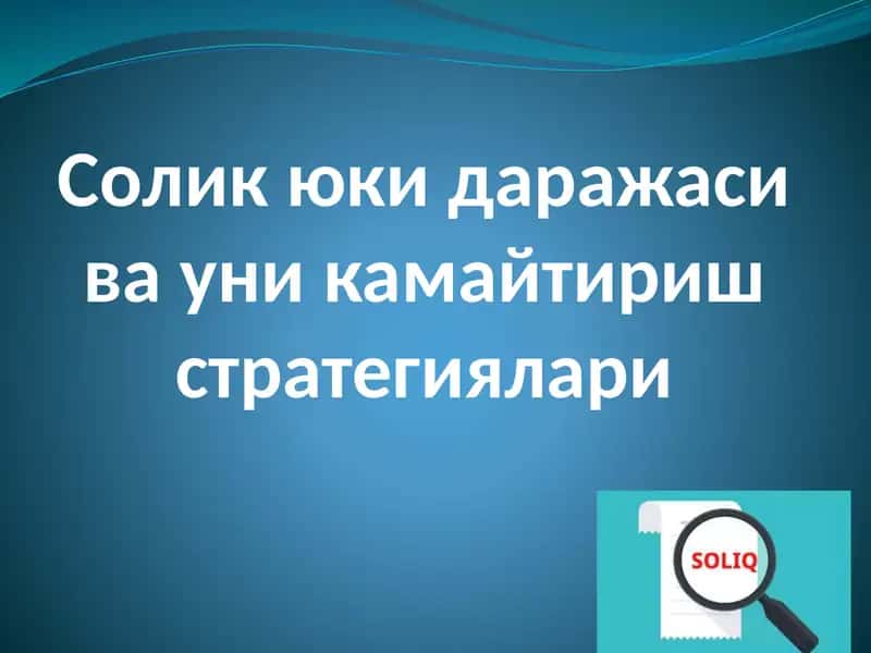 Солик юки даражаси ва уни камайтириш стратегиялари 1