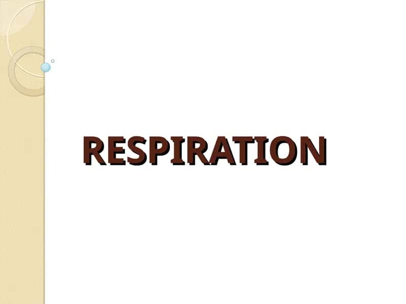 Respiration