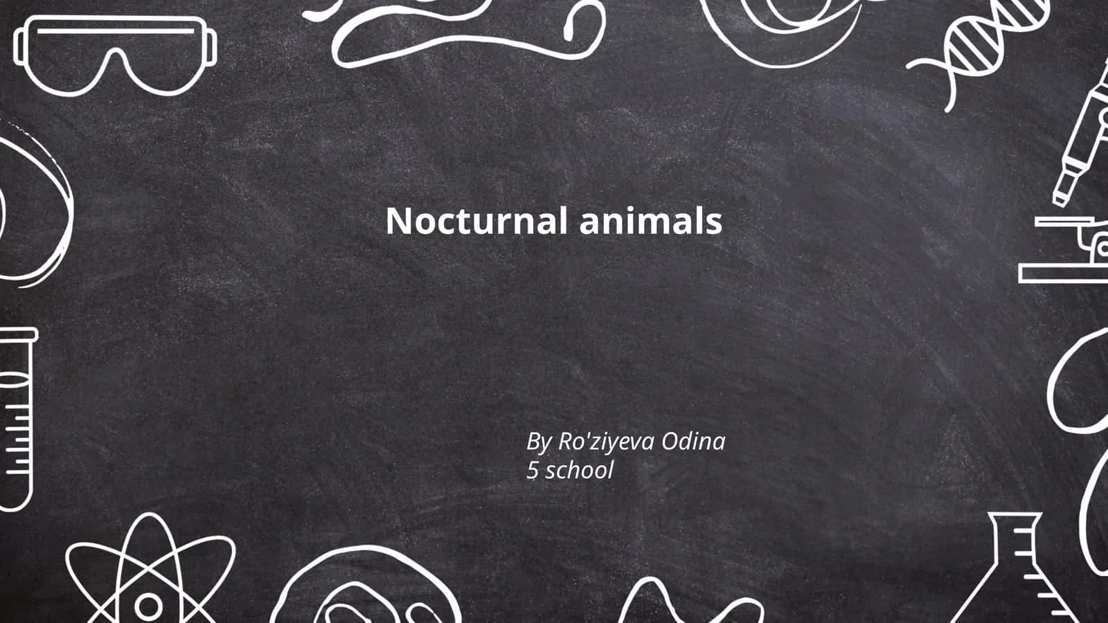 Nocturnal animals 1
