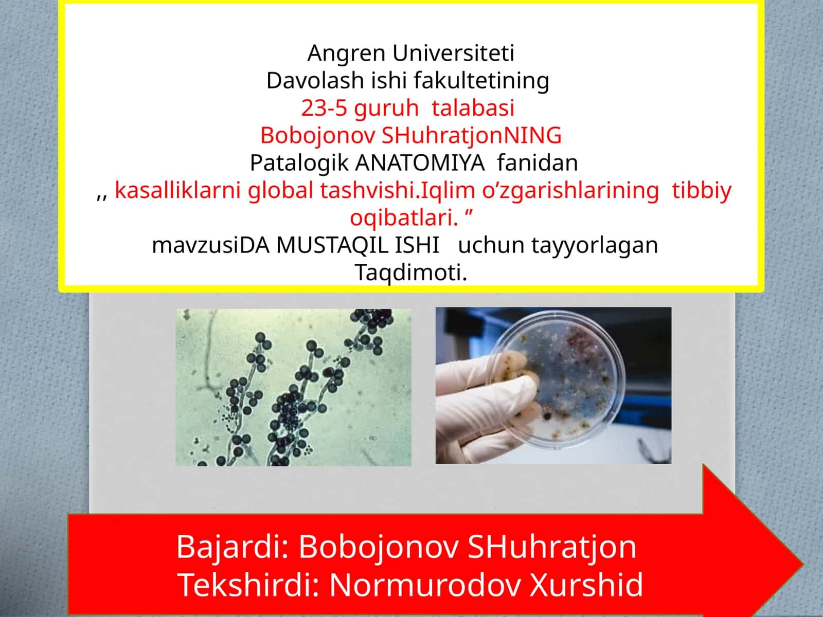 Patalogik ANATOMIYA fanidan kasalliklar 1