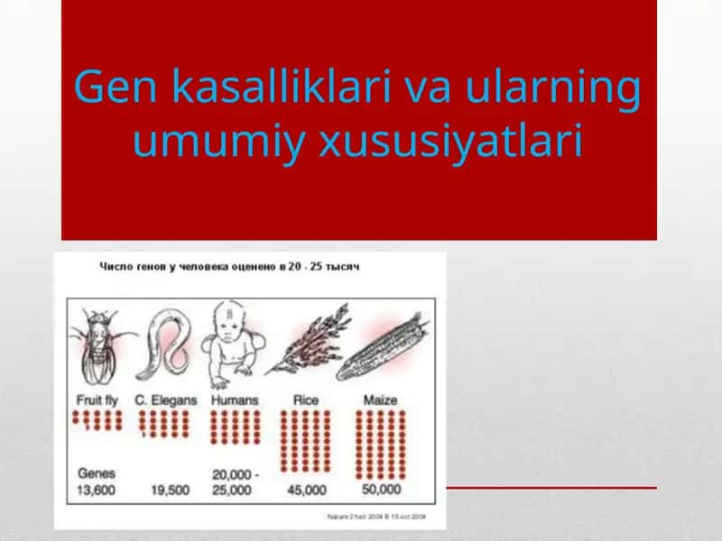 Gen kasalliklari va ularning umumiy xususiyatlari 1