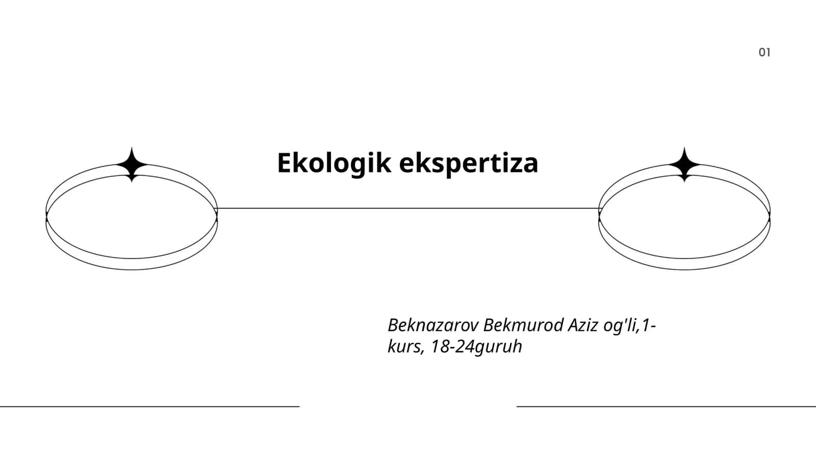 Ekologik ekspertiza 1