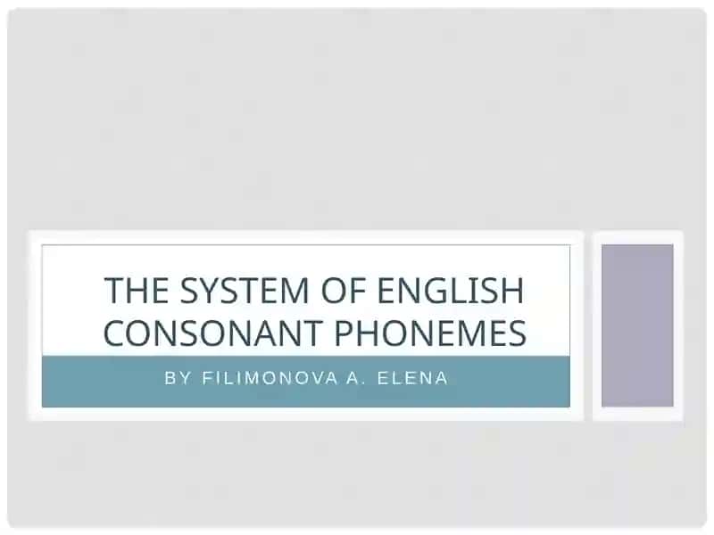 THE SYSTEM OF ENGLISH consonant PHONEMES