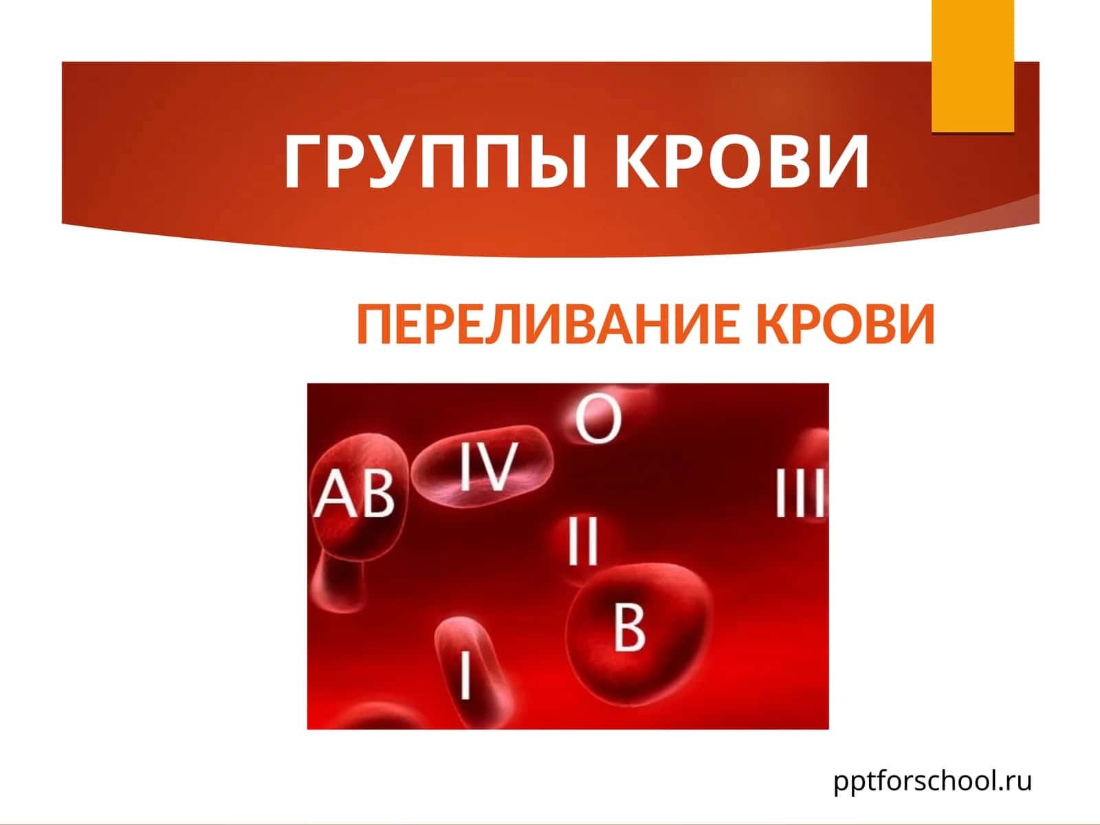 ГРУППЫ КРОВИ 1