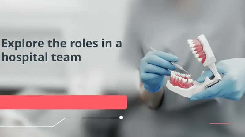 Explore the roles in a hospital team 1