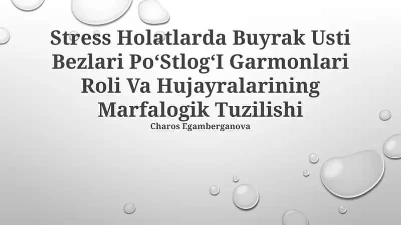Buyrak usti bezlarining stress gormonlarining roli 1