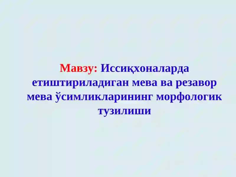 Цитруслар мевалари
