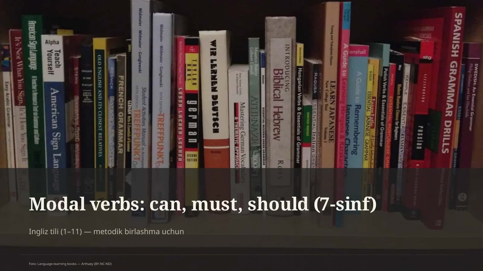 Modal verbs: can, must, should (7-sinf) 1