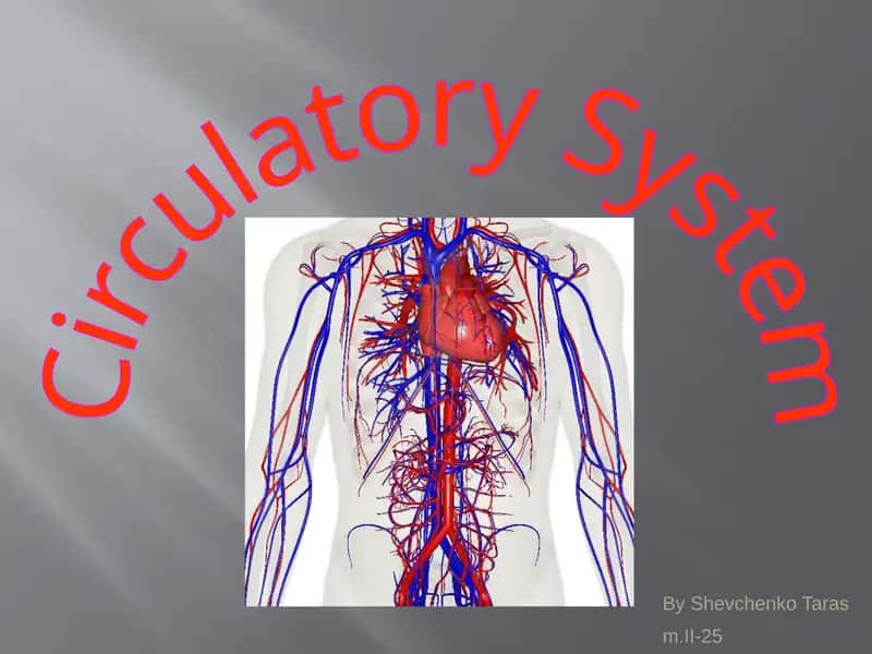 Circulatory System 1