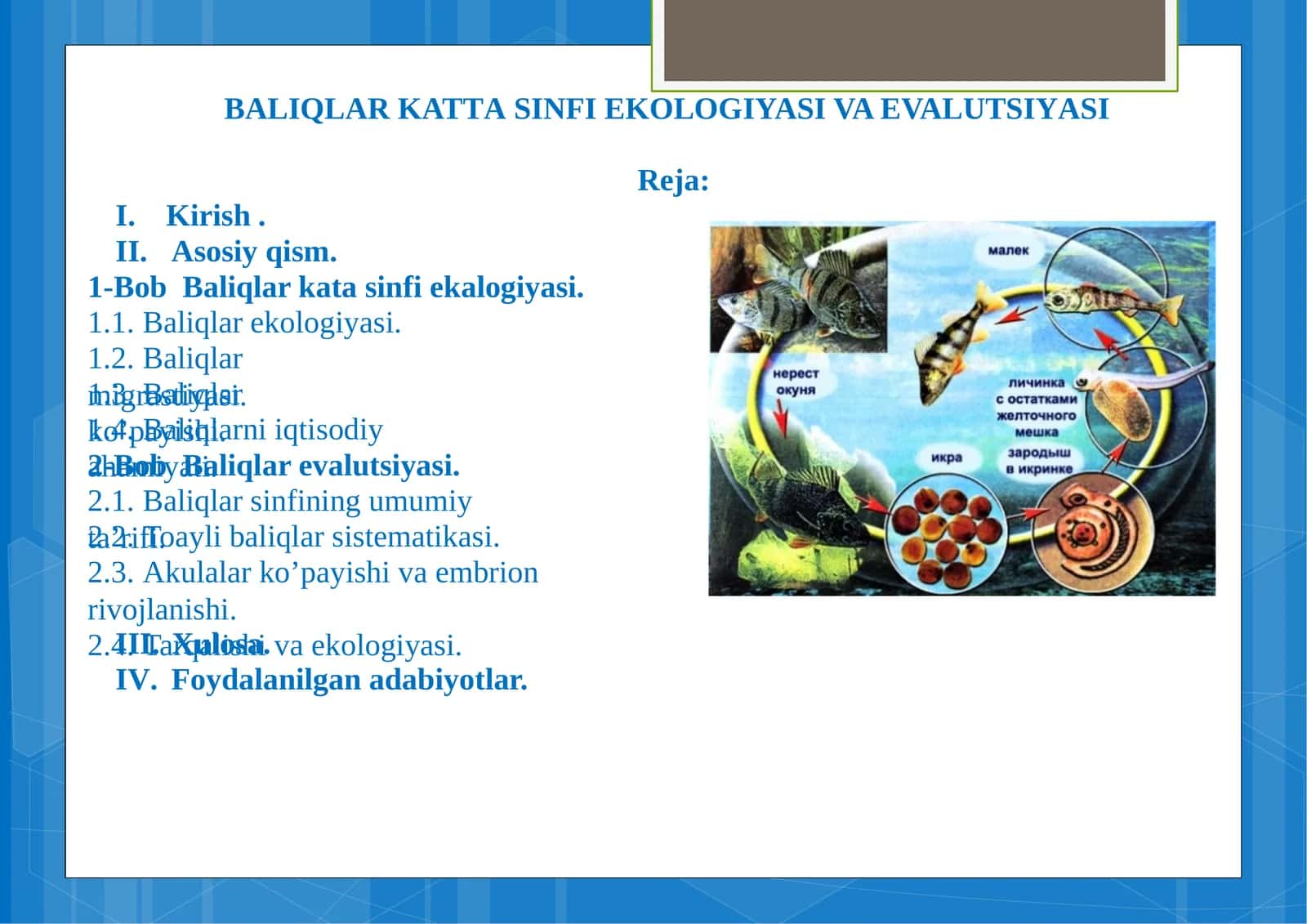 BALIQLAR KATTASINFI EKOLOGIYASI VA EVALUTSIYASI 1