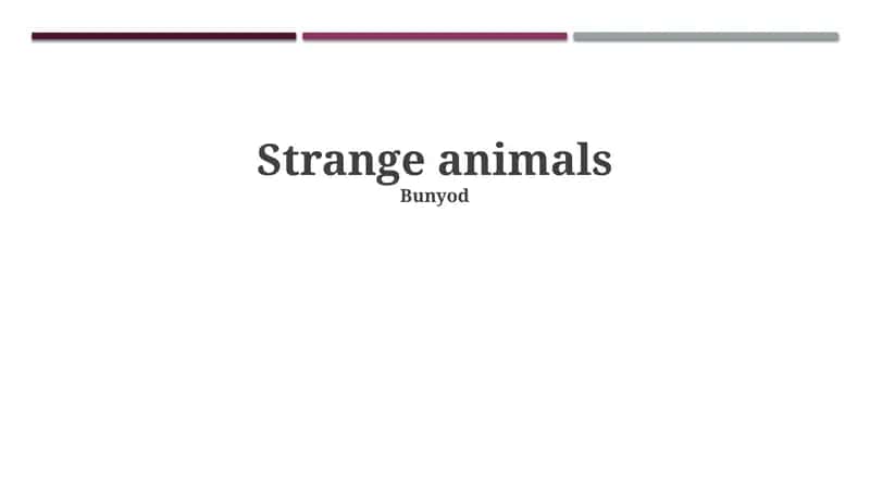 Strange animals 1