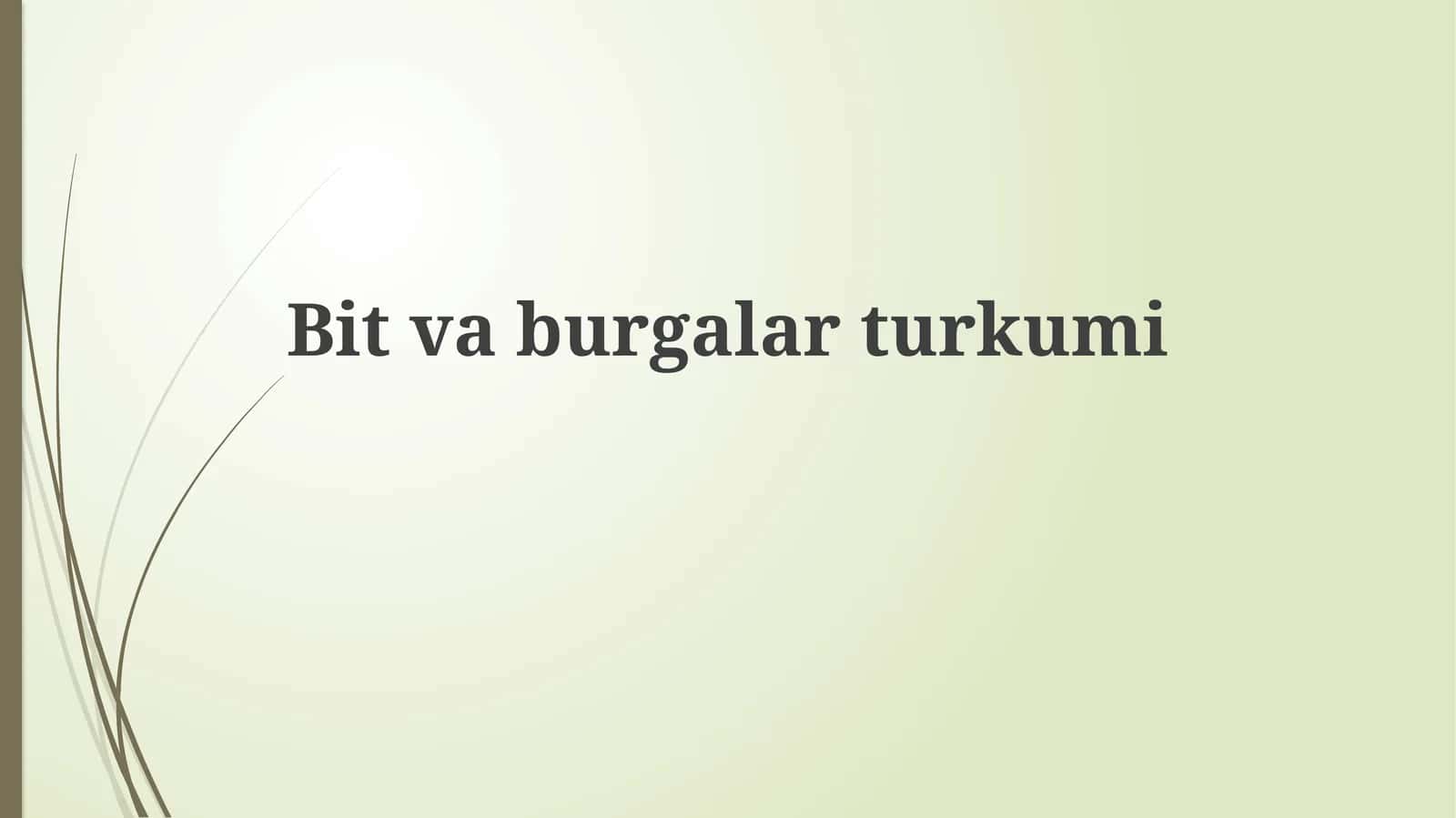Bitlar va burgalar: umumiy ko'rinish 1