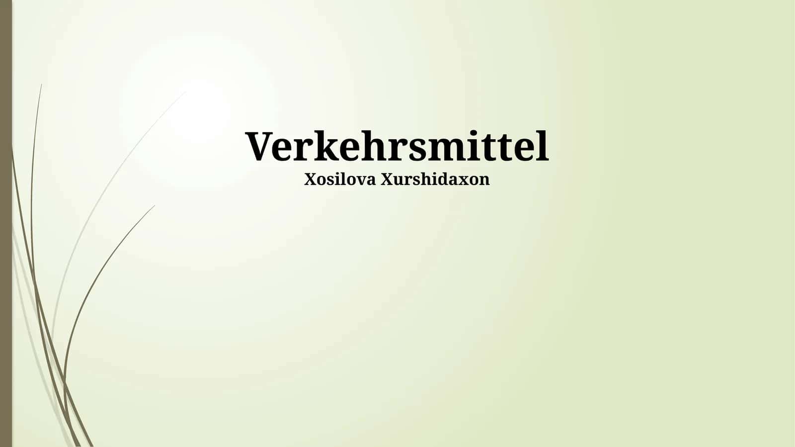 Verkehrsmittel 1