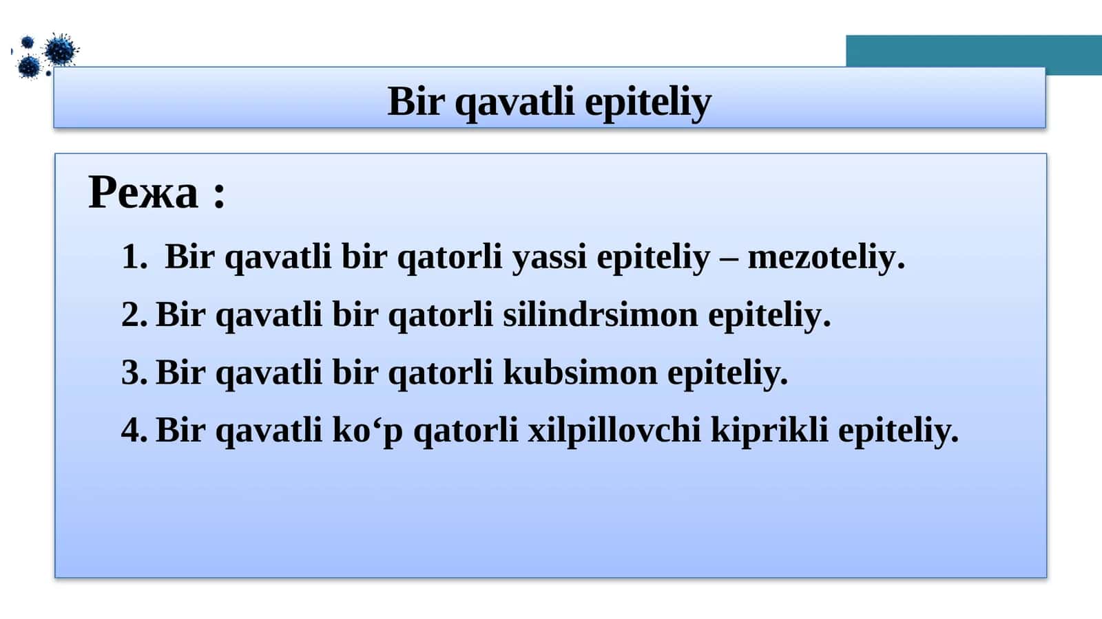 Bir qavatli epiteliy 1