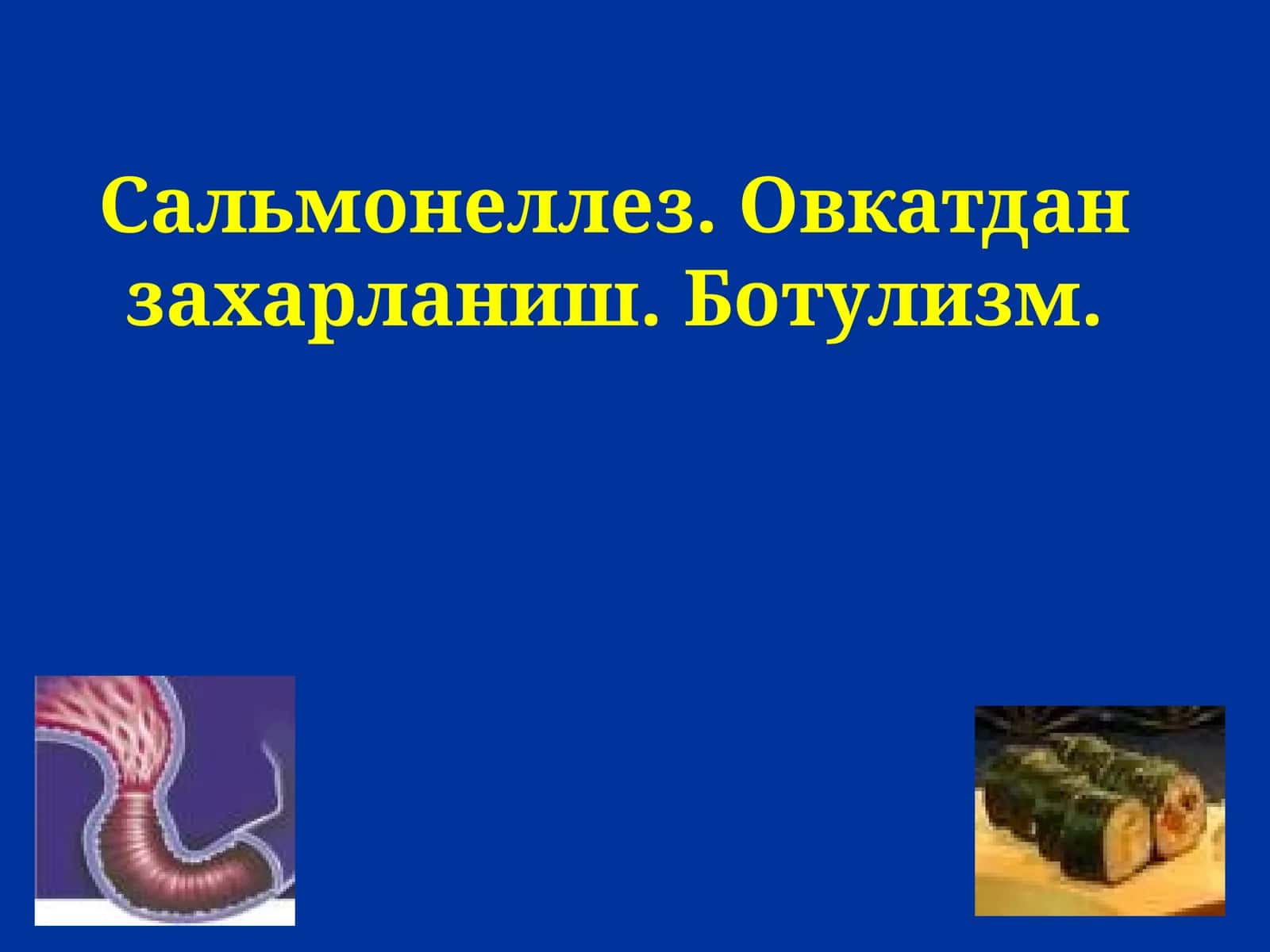 САЛЬМОНЕЛЛЁЗ 1