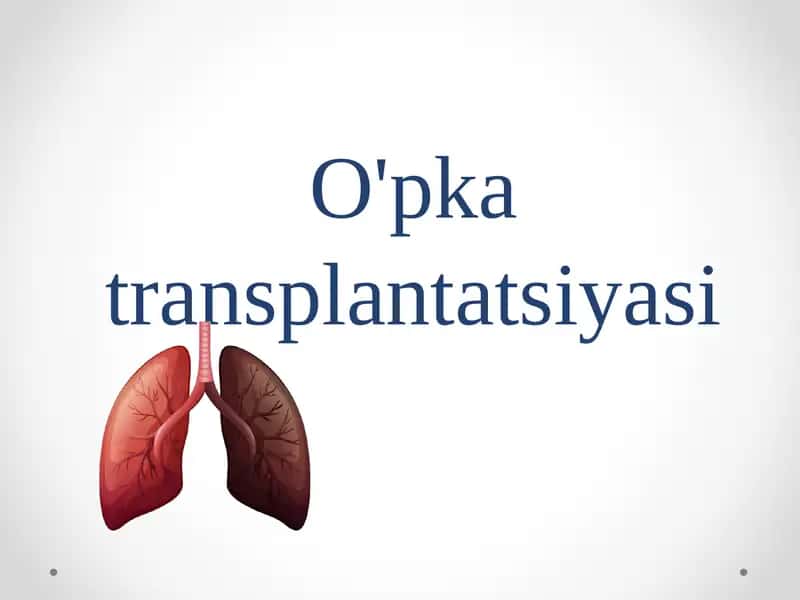 O'pka transplantatsiyasi 1