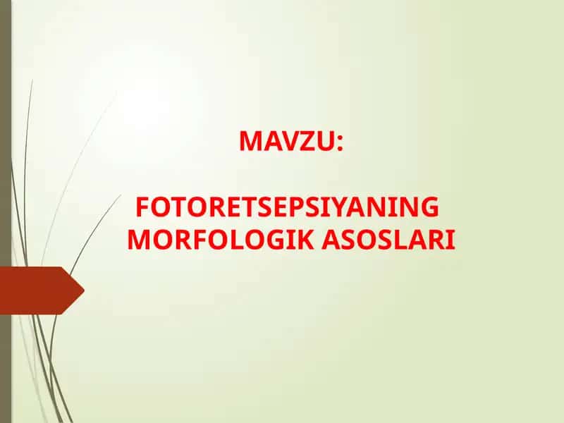 FOTORETSEPSIYANING  MORFOLOGIK ASOSLARI 1
