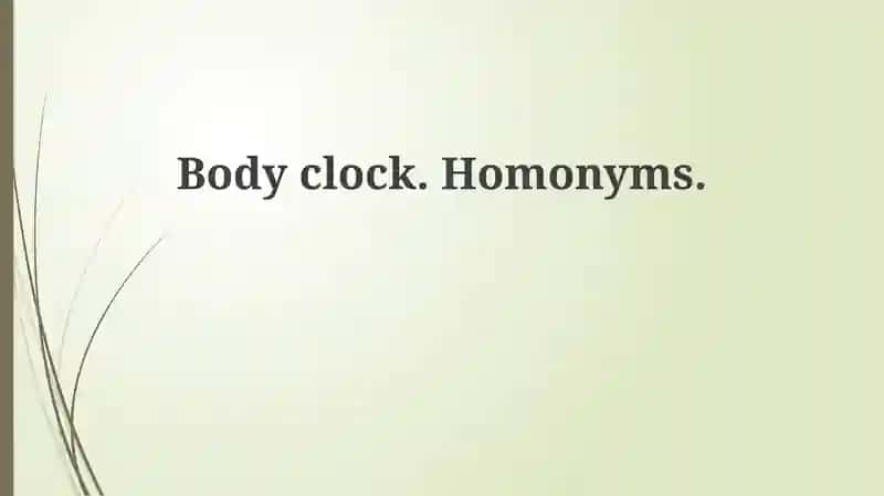 Understanding Your Body Clock