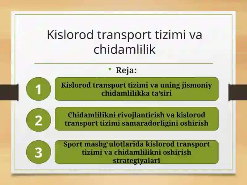 Kislorod Transport Tizimi va Chidamli