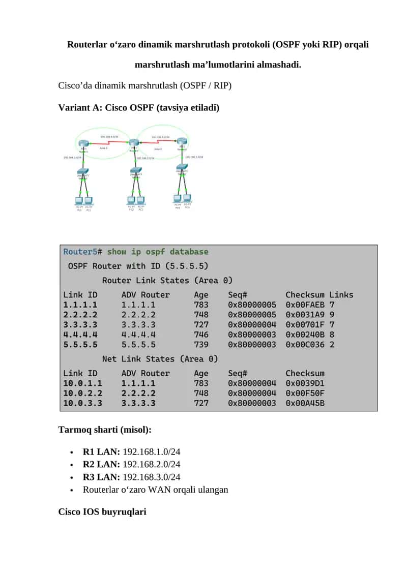 Routerlar dinamik marshrutlash protokollari (OSPF yoki RIP) 1