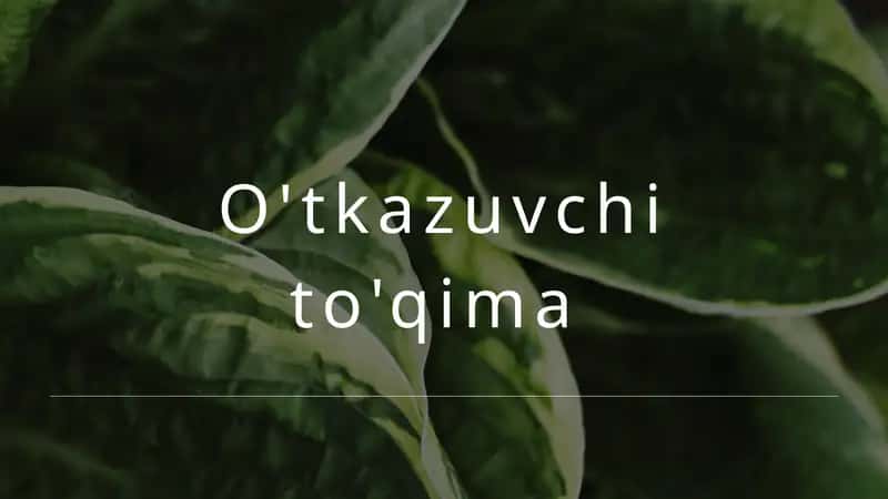 O'tkazuvchi to'qima 1