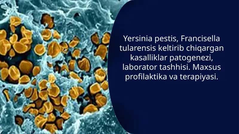 Yersinia pestis va Francisella tularensis 1