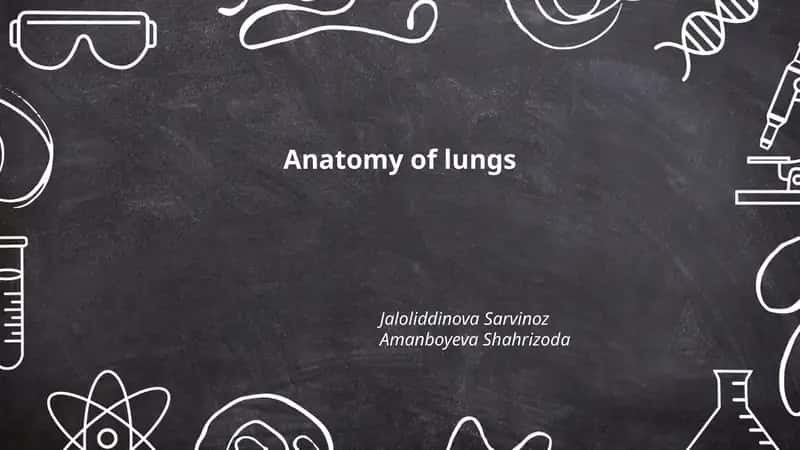 Anatomy of lungs 1