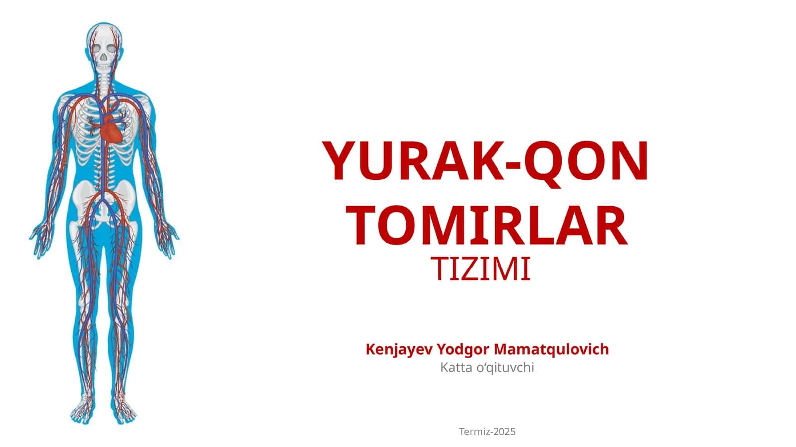 YURAK-QON TOMIRLAR TIZIMI 1