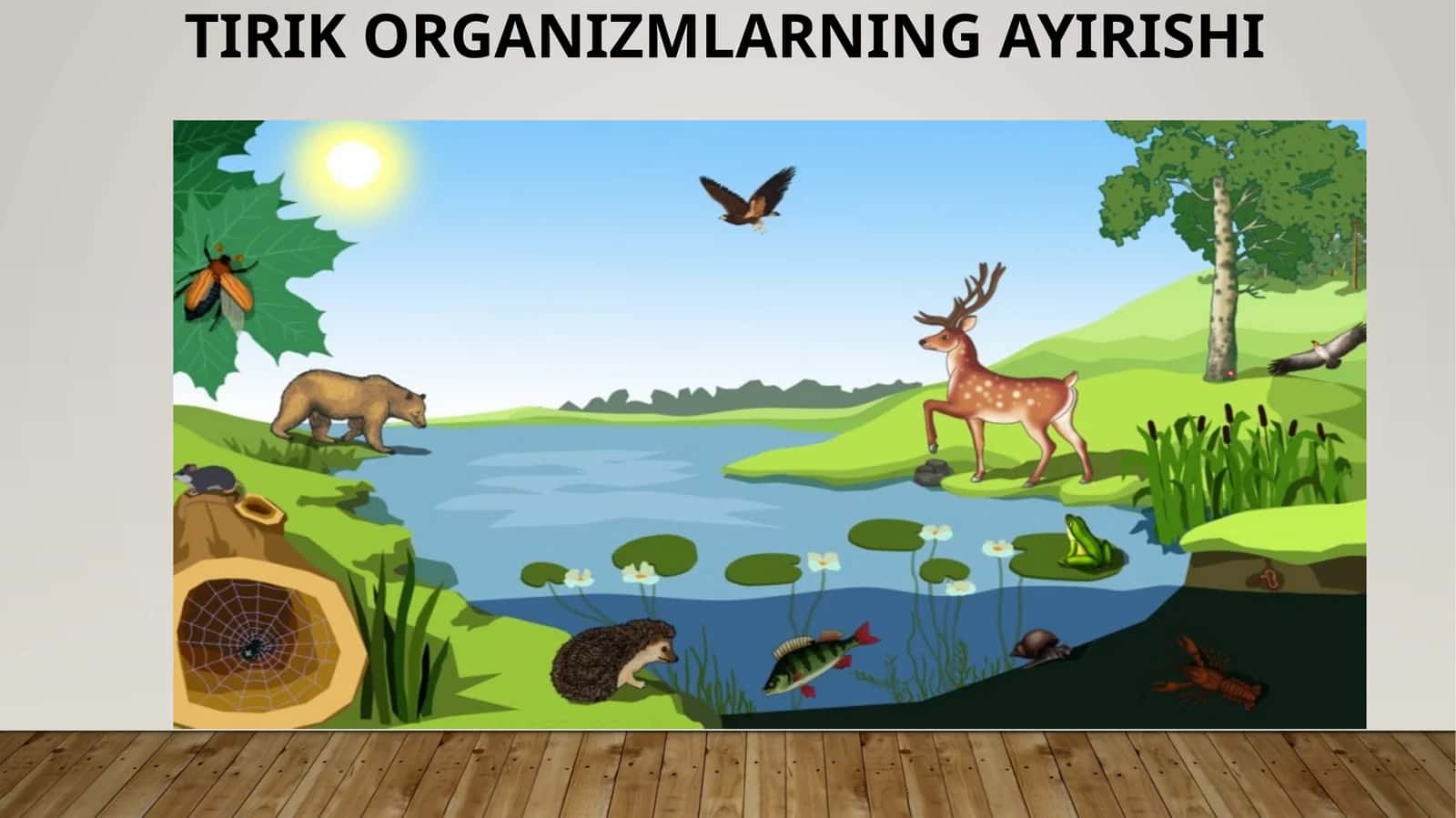 TIRIK ORGANIZMLARNING AYIRISHI 1