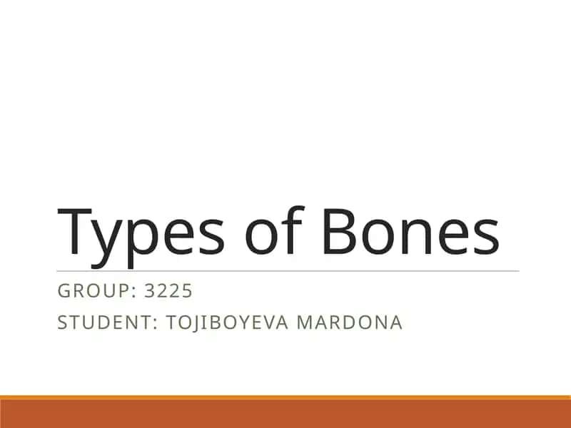 Types of Bones 1