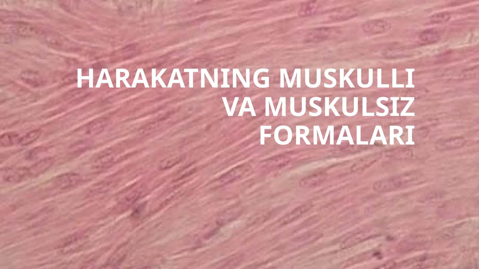 HARAKATNING MUSKULLI VA MUSKULSIZ FORMALARI 1