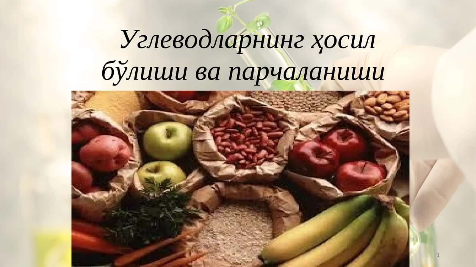Углеводларнинг ҳосил бўлиши ва парчаланиши 1