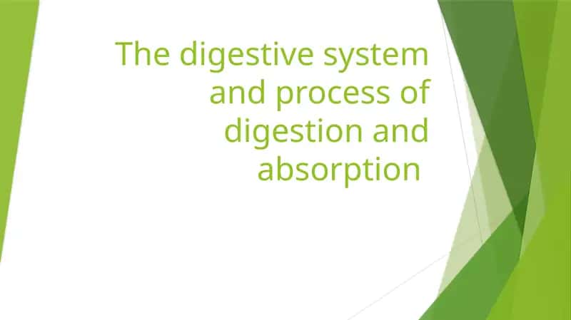 The digestive system and process of digestion and absorption 1