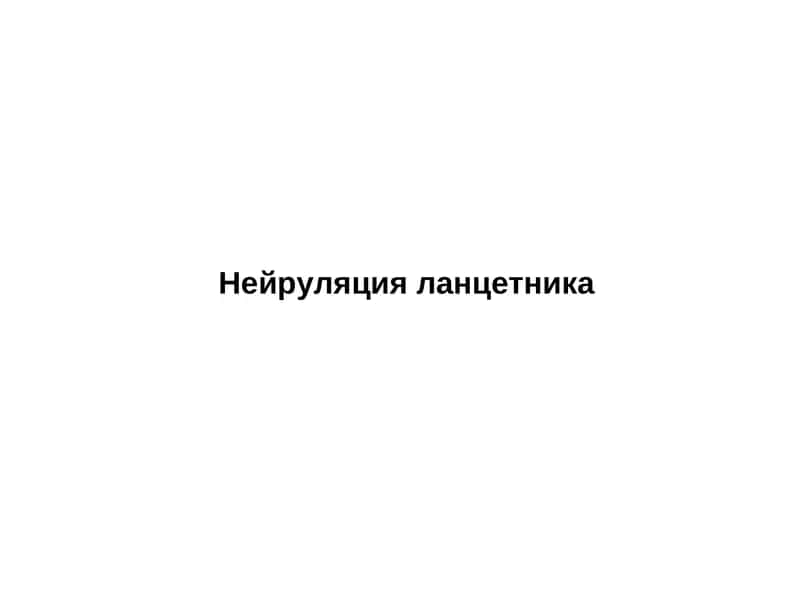 Нейруляция ланцетника 1
