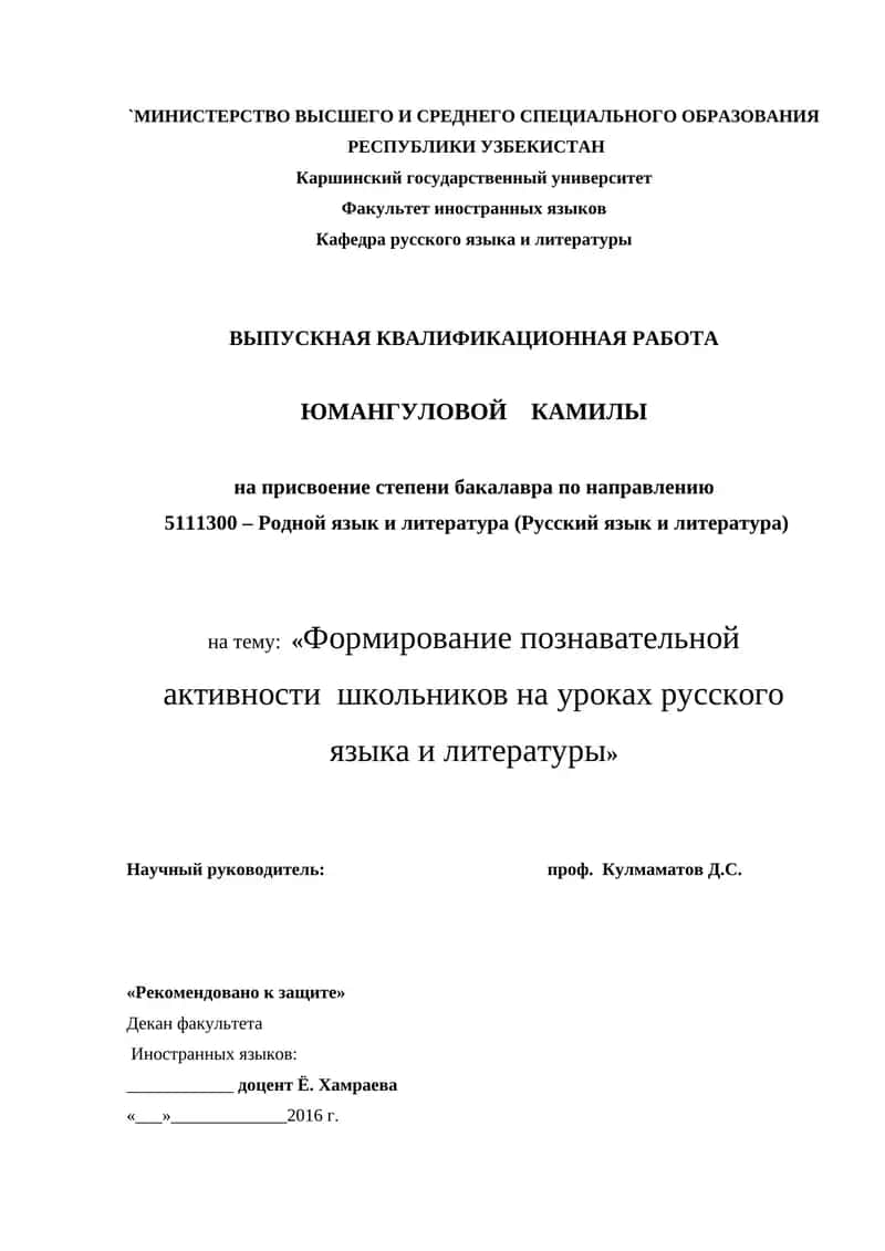 Выпускная квалификационная работа 1